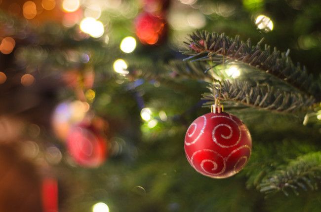 Christmas Trees: Helpful Safety Tips | Frank M. Eidson P.A.